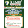 தமிழ் தகுதித் தேர்வு